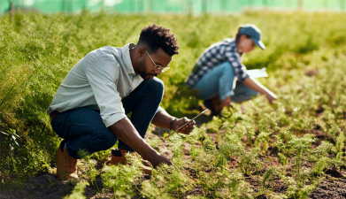 Generation-Regen-Hero